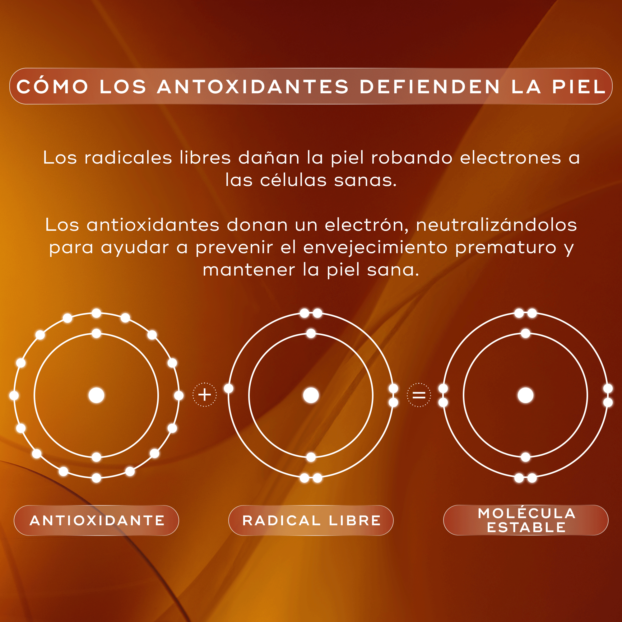 Infografia que enseña como los antioxidantes defienden la piel de los radicales libres